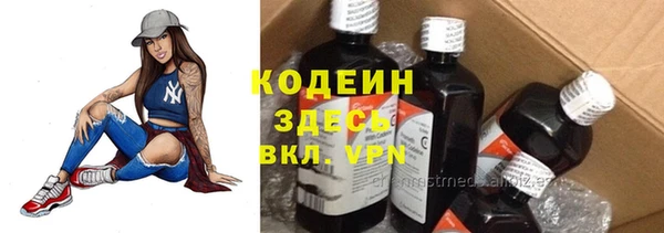 дмт Костерёво