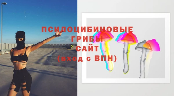 а пвп мука Корсаков