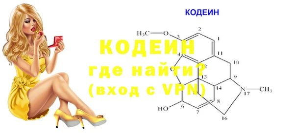 дмт Костерёво