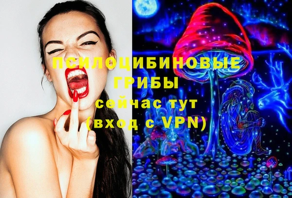а пвп мука Корсаков